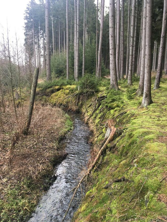 Nature Center Udoli Volavek Weseritz Kültér fotó